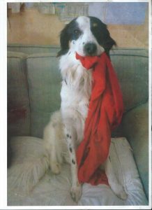 Snoopy-con-la-sua-copertina[1]