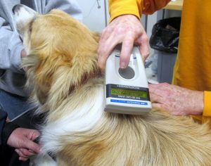microchip_cani1