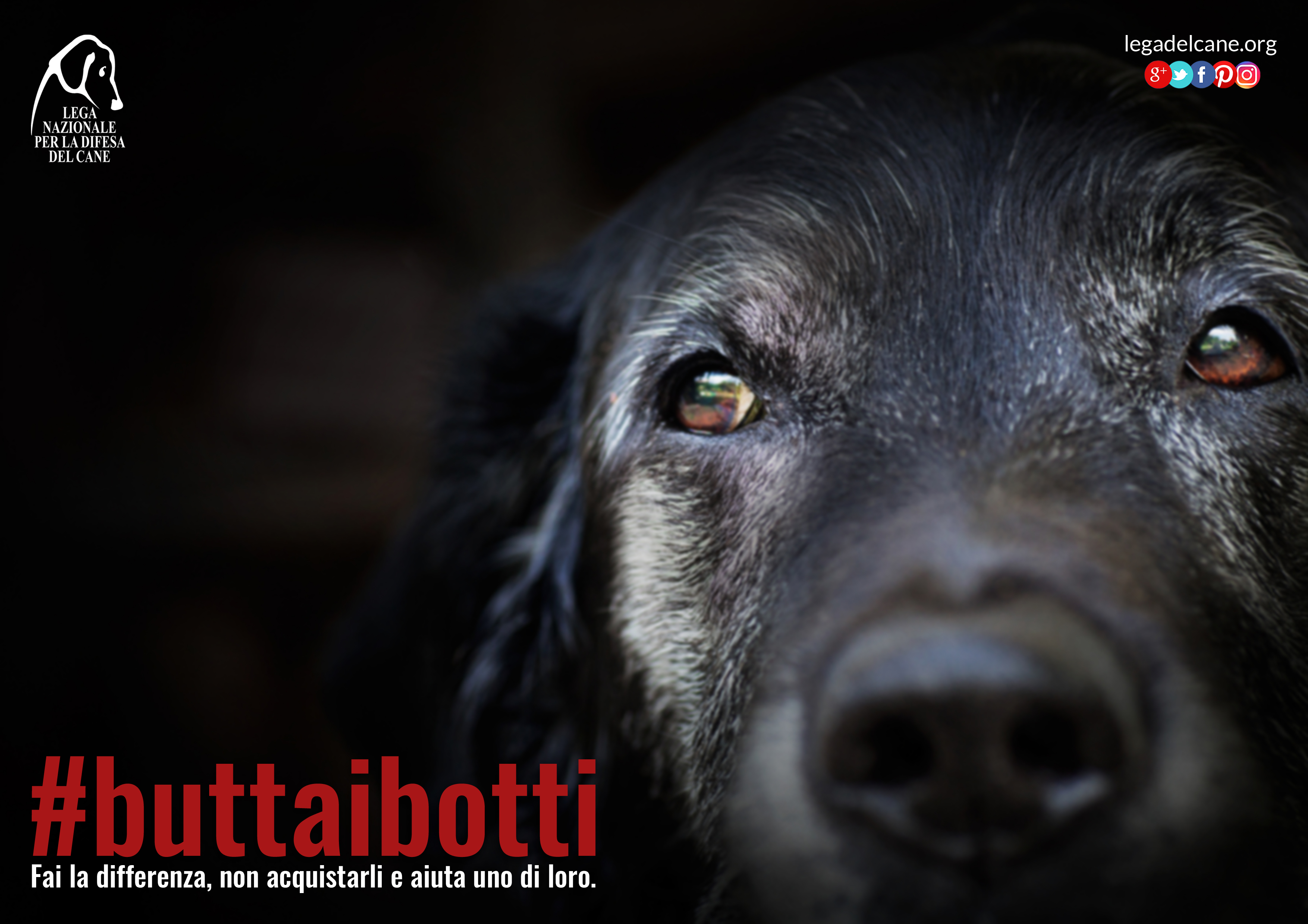 #buttaibotti 2016 – Un Capodanno all’insegna del rispetto