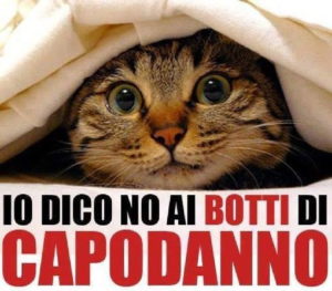 botti di capodanno