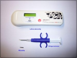 Microchip