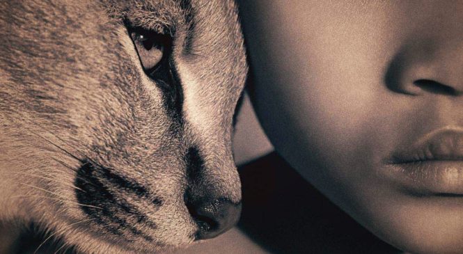 Come gli animali si sono evoluti adattandosi all’uomo