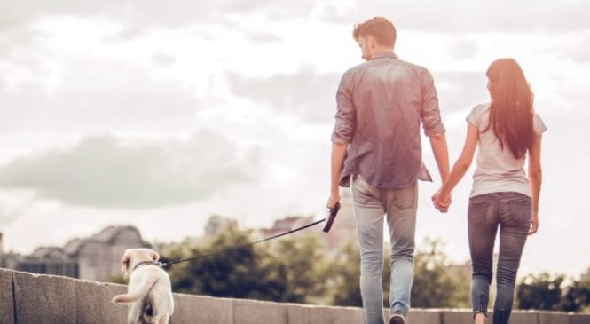 Le città più pet friendly del mondo