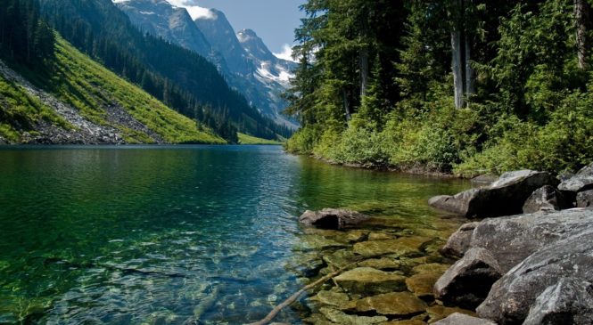 Il mondo sommerso dell’acqua dolce