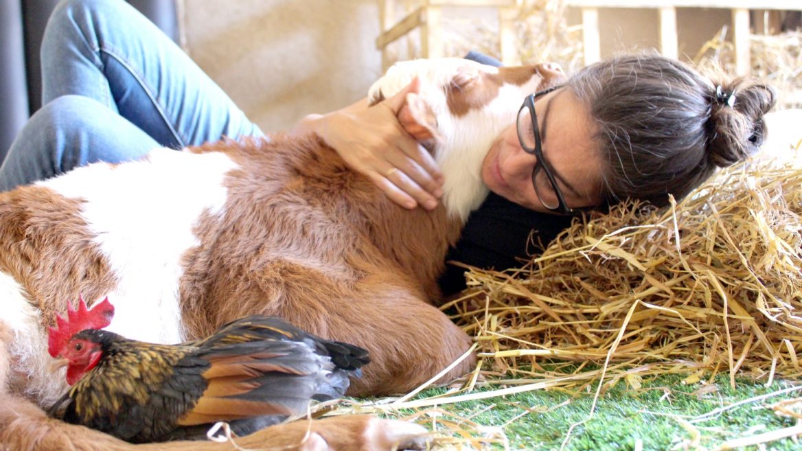 Freedom Farm: la fattoria degli animali disabili