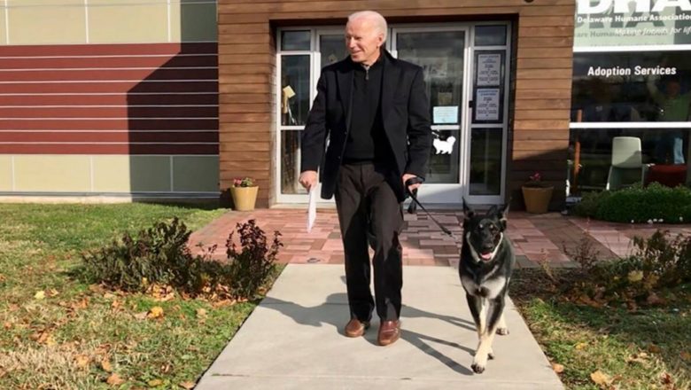 Il ritorno dei First Dogs: i cani di Joe Biden