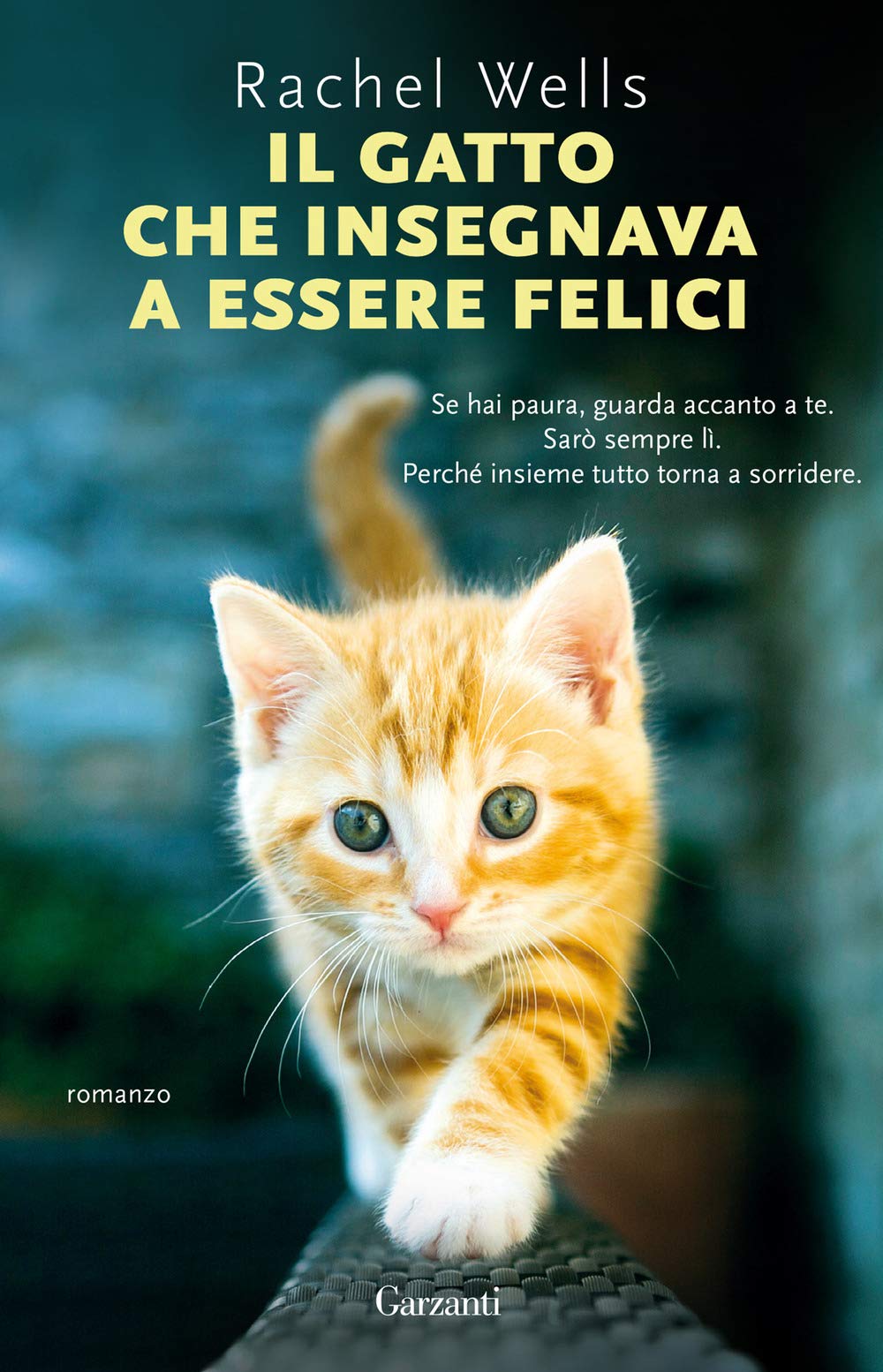 Libri per gli amanti dei gatti