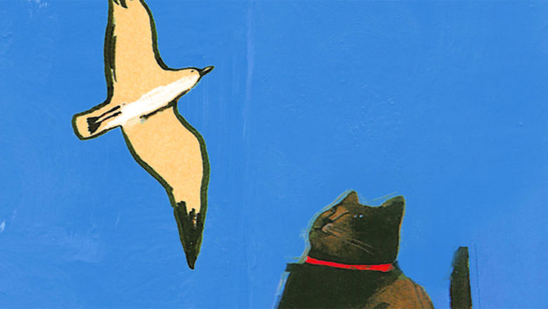 5 libri per gli amanti dei gatti