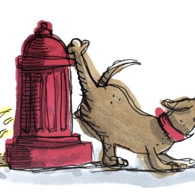 È obbligatorio pulire la pipì del cane?