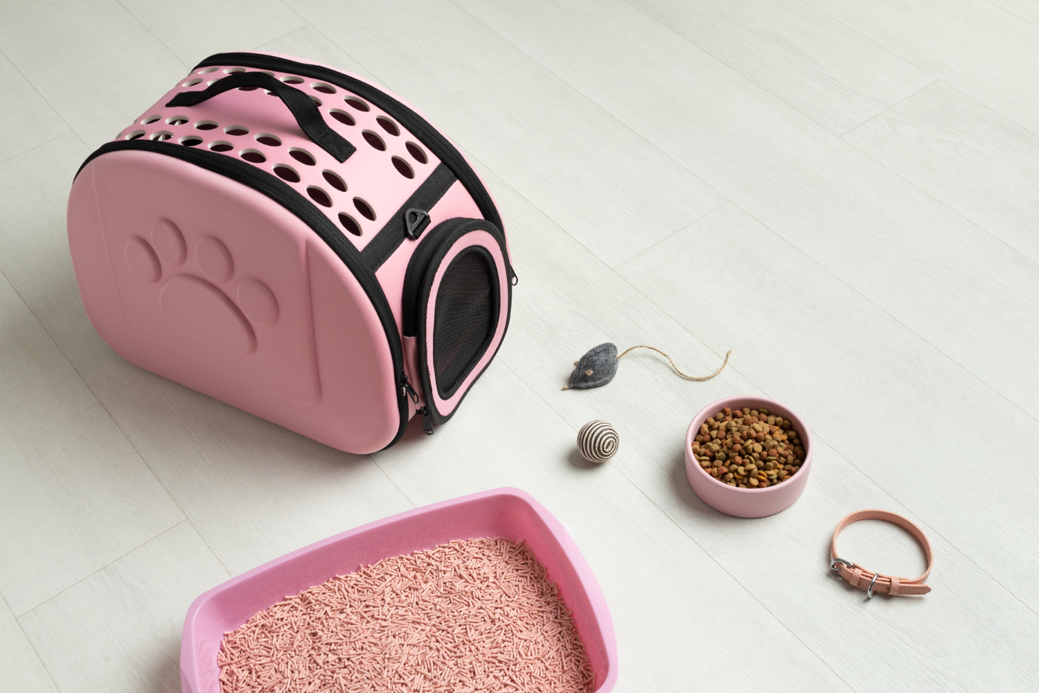 lettiera per gatti quale scegliere