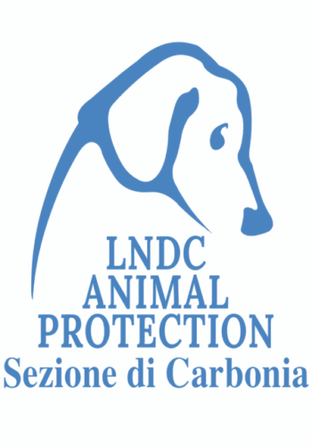 Logo-LNDC-mini