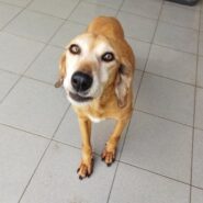 Zoe