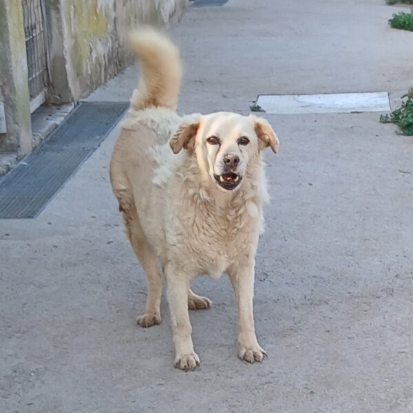 Fonny