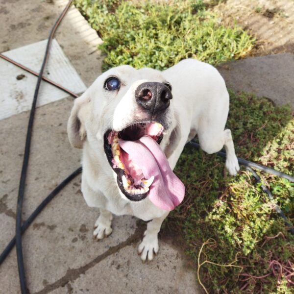 Casper