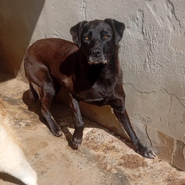 Clotilde